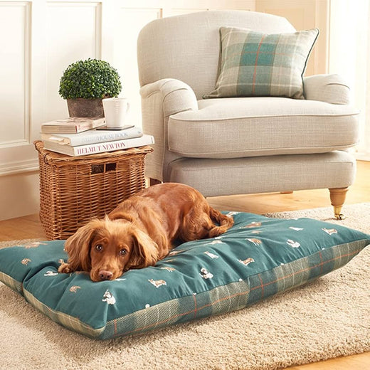 Pet Bedding & Accessories