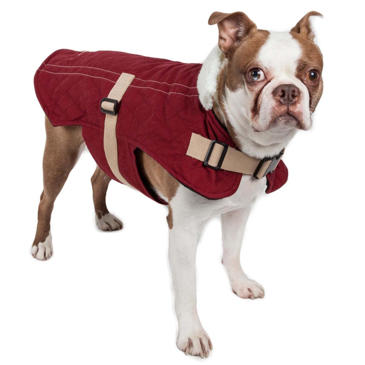 Sherpa-Bark Dog Coat