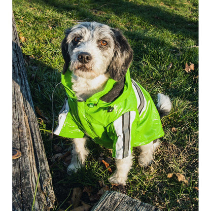 Waterproof Pet Raincoat