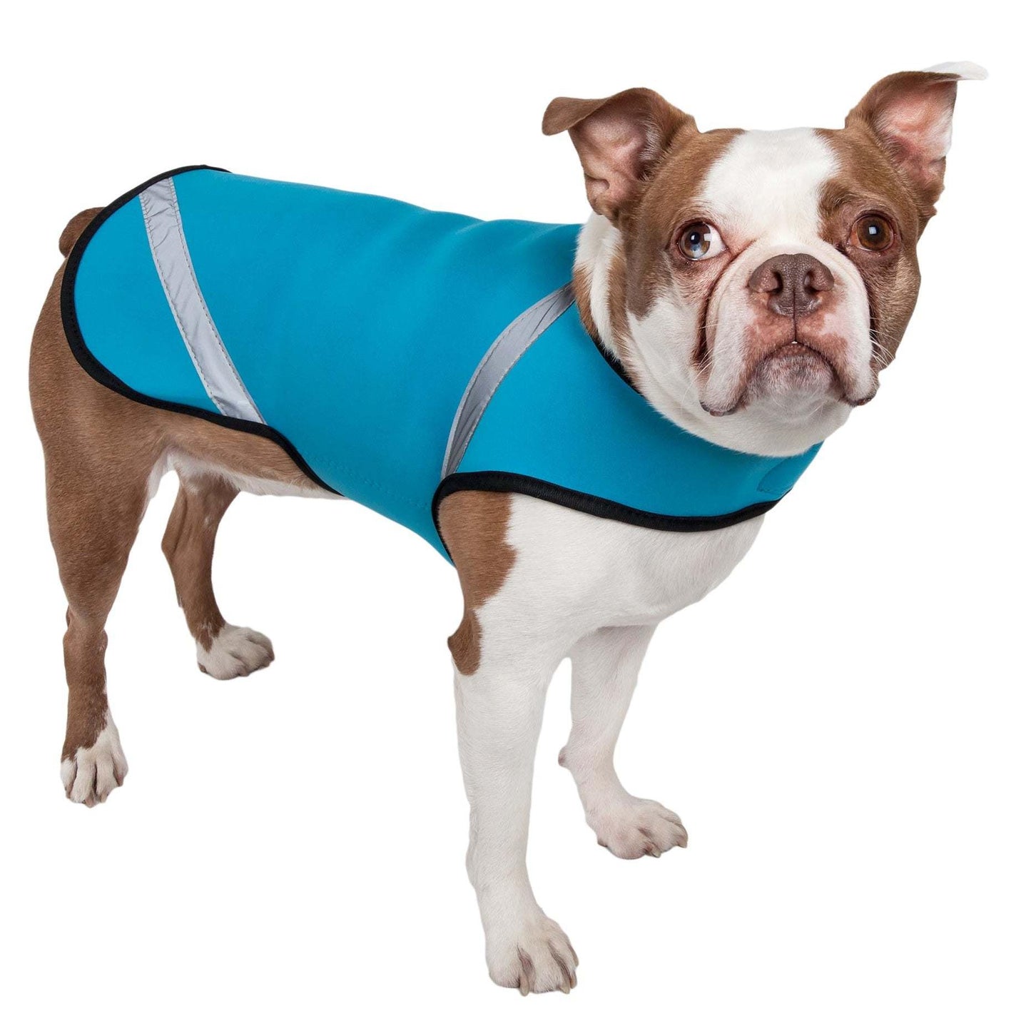 Versatile Dog Coat Fashion