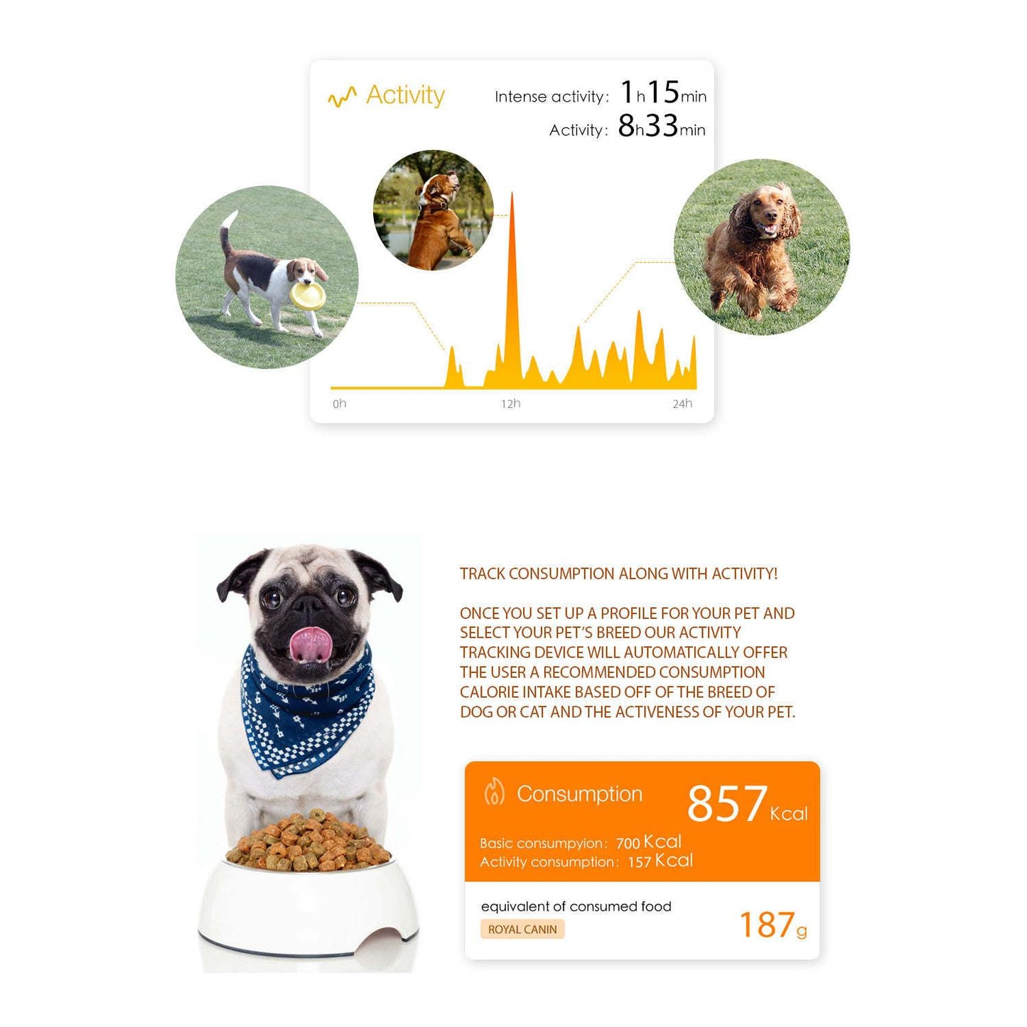 Smart Pet Activity Tracker