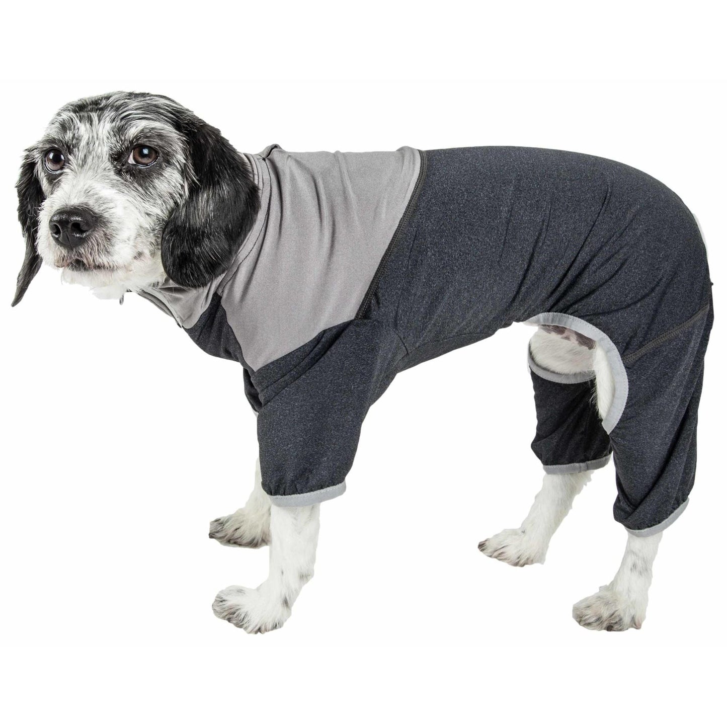 Lightweight UV protection tracksuit for dogs. Fashion