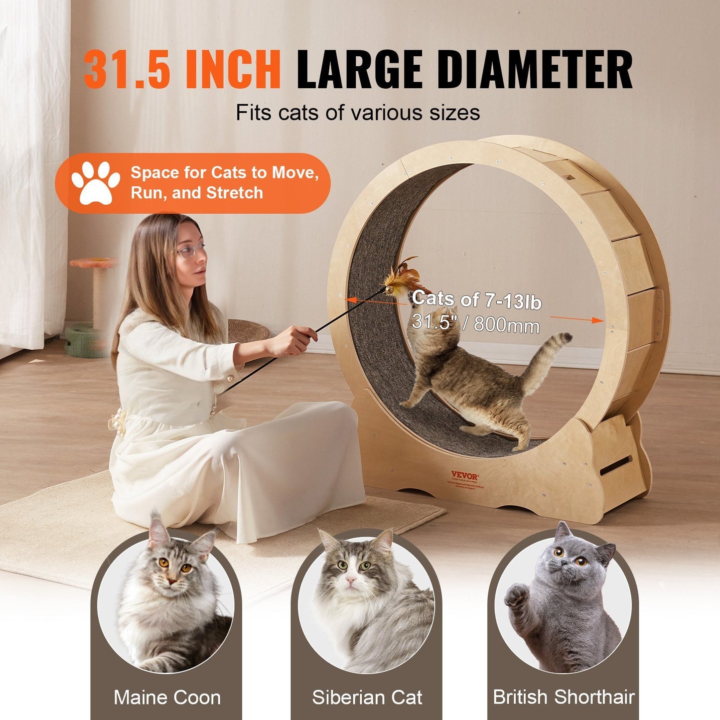 Cat Exercise Wheel