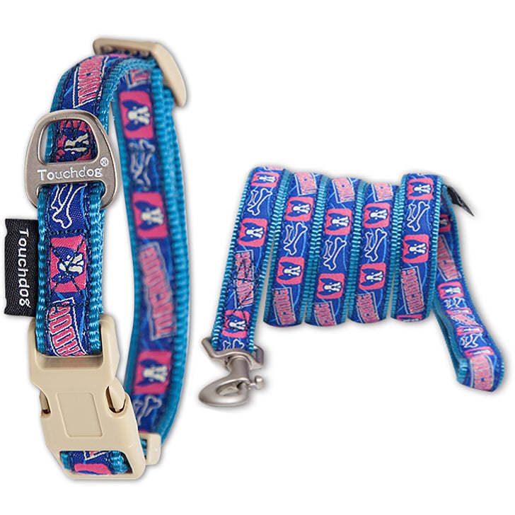 Durable, stylish collar and leash set with adjustable straps and reinforced stitching. - Wolldi