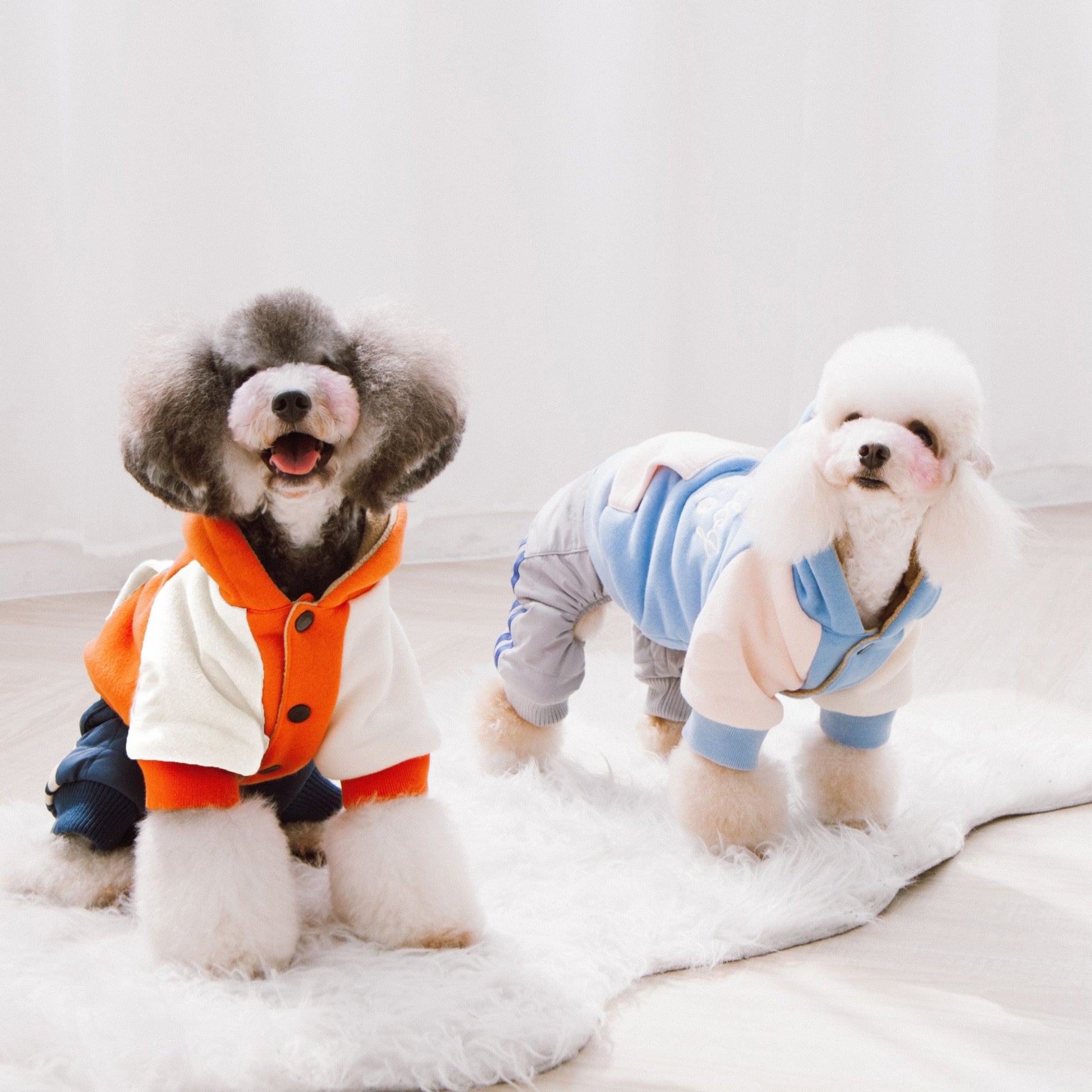 Touchdog 'Heritage' Soft-Cotton Fashion Dog Hoodie - Comfortable, stylish, and convenient for your furry friend. - Wolldi