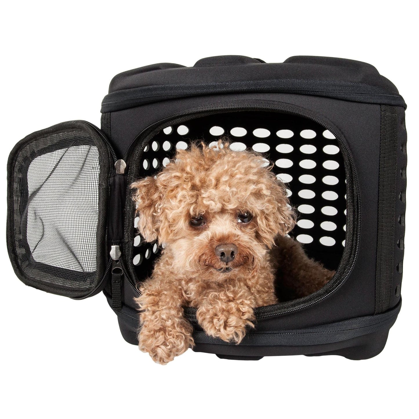 Collapsible pet carrier for travel Explorer