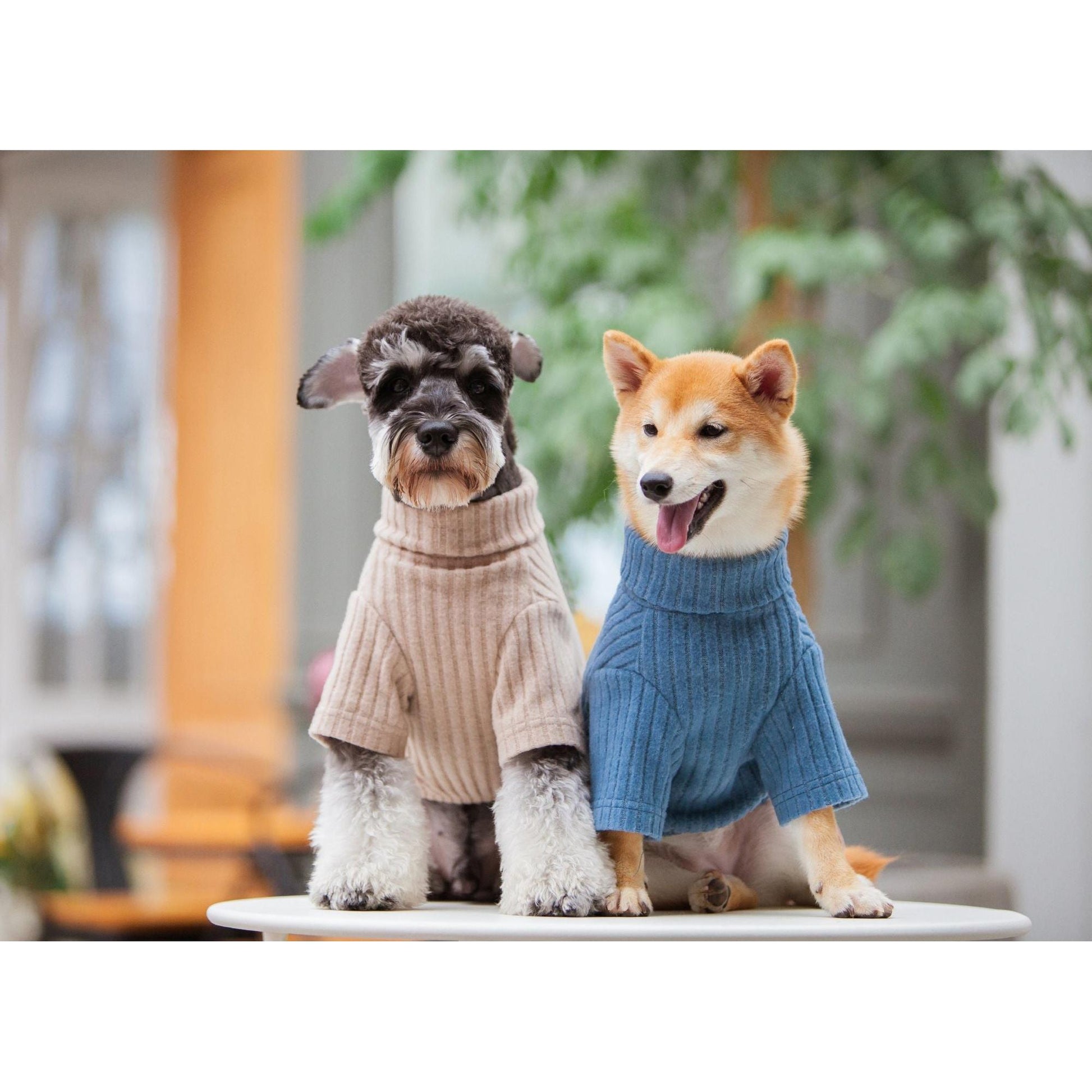 Touchdog 'Modress' is an elegant designer dog sweater and dress combo. - Wolldi