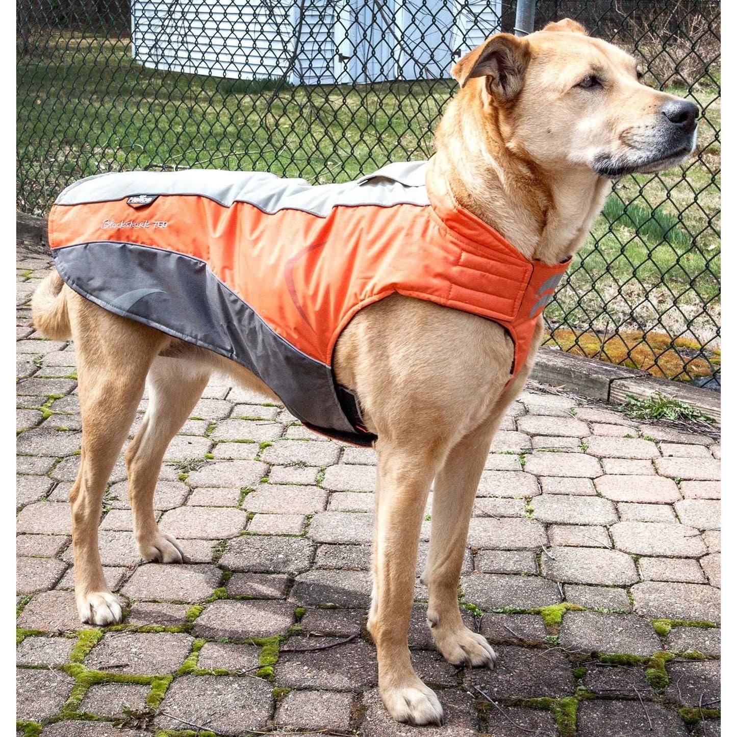 "Waterproof dog coat with Blackshark technology" Fashion