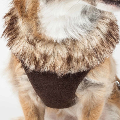 Adjustable Dog Harness with Removable Fur Collar Straps