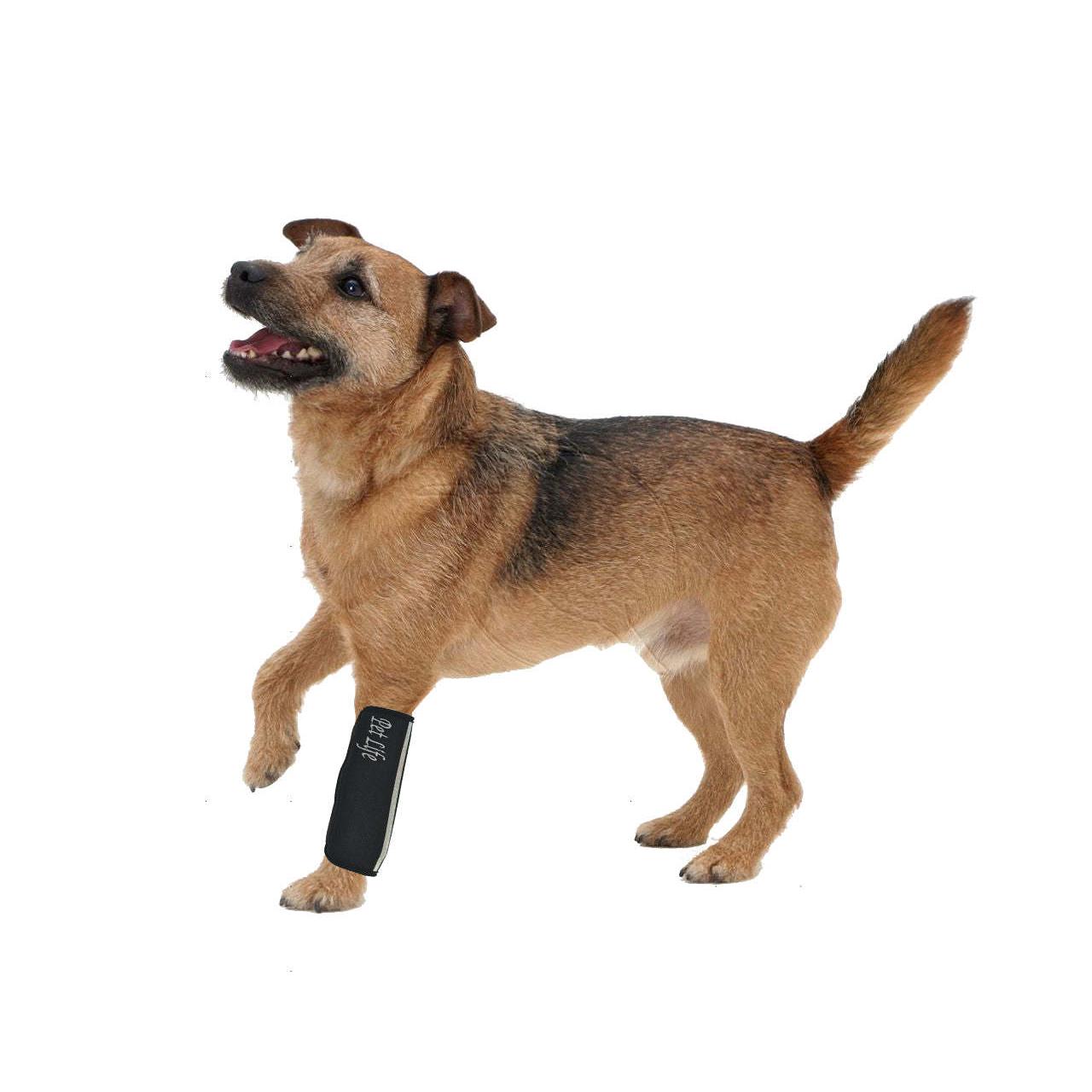 Neoprene pet joint support sleeves