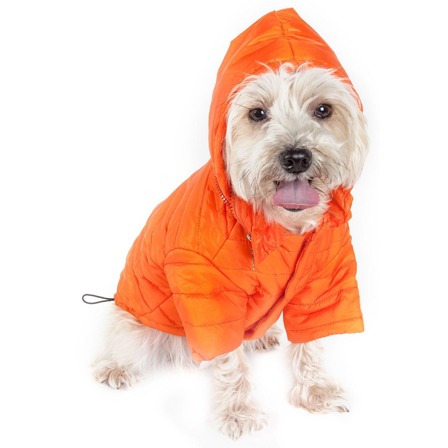 Sporty Avalanche Dog Coat Fashion