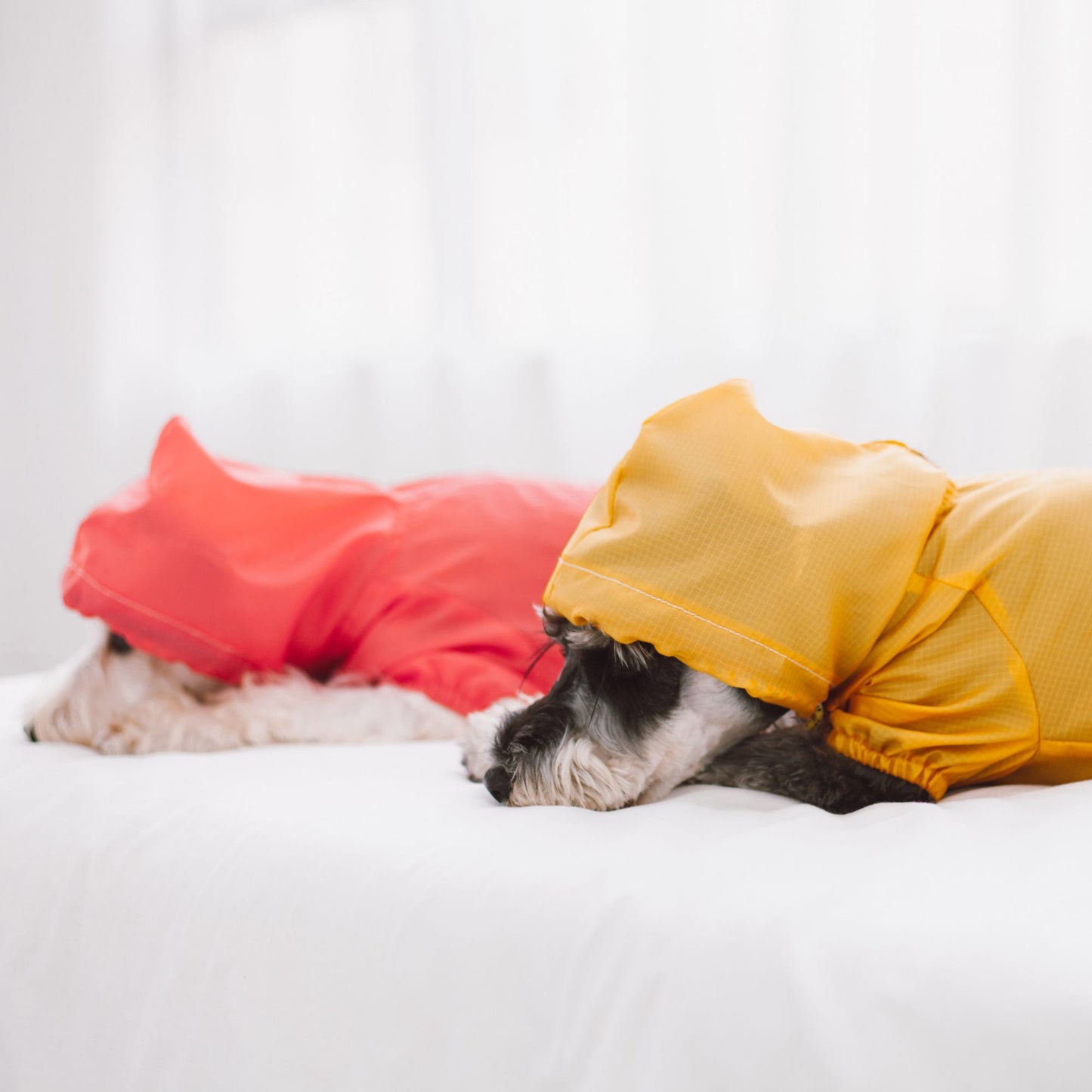 The Touchdog Split-Vent Designer Waterproof Dog Raincoat is a stylish and adjustable raincoat with reflective stitching for night visibility. - Wolldi