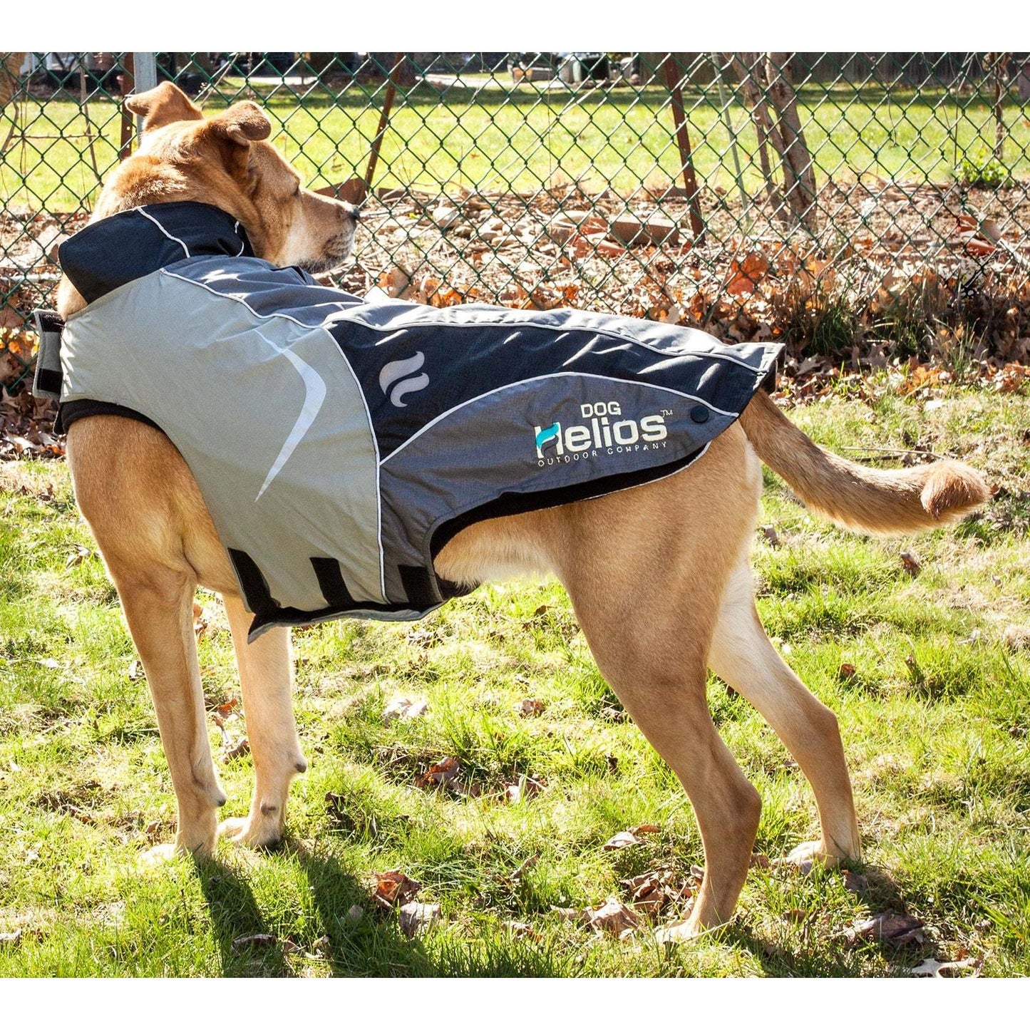 Waterproof Dog Jacket Fashion