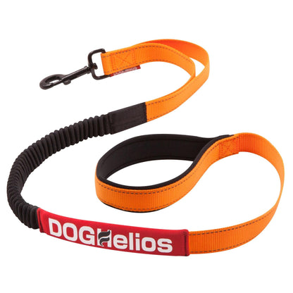 Indestructible dog leash and collar. Straps