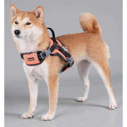 The Dog Helios 'Scorpion' harness offers comfortable and durable high-performance for dogs. - Wolldi