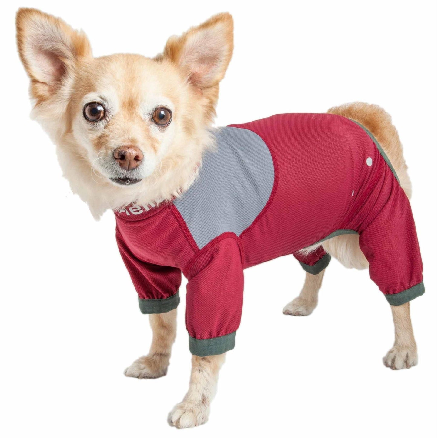 Dog track suit Fashion