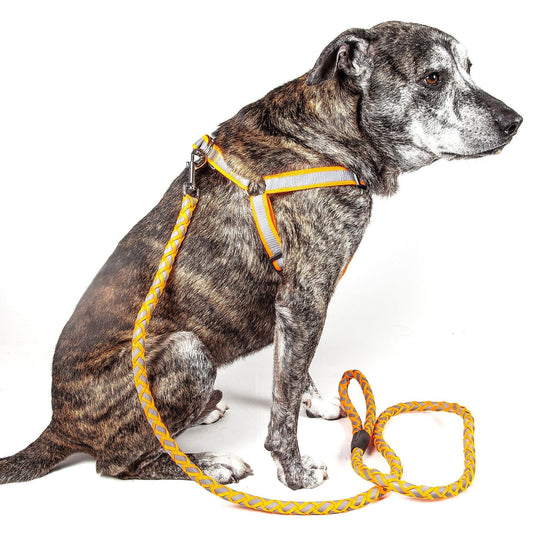 Durable Reflective Dog Leash Harness Combo Straps