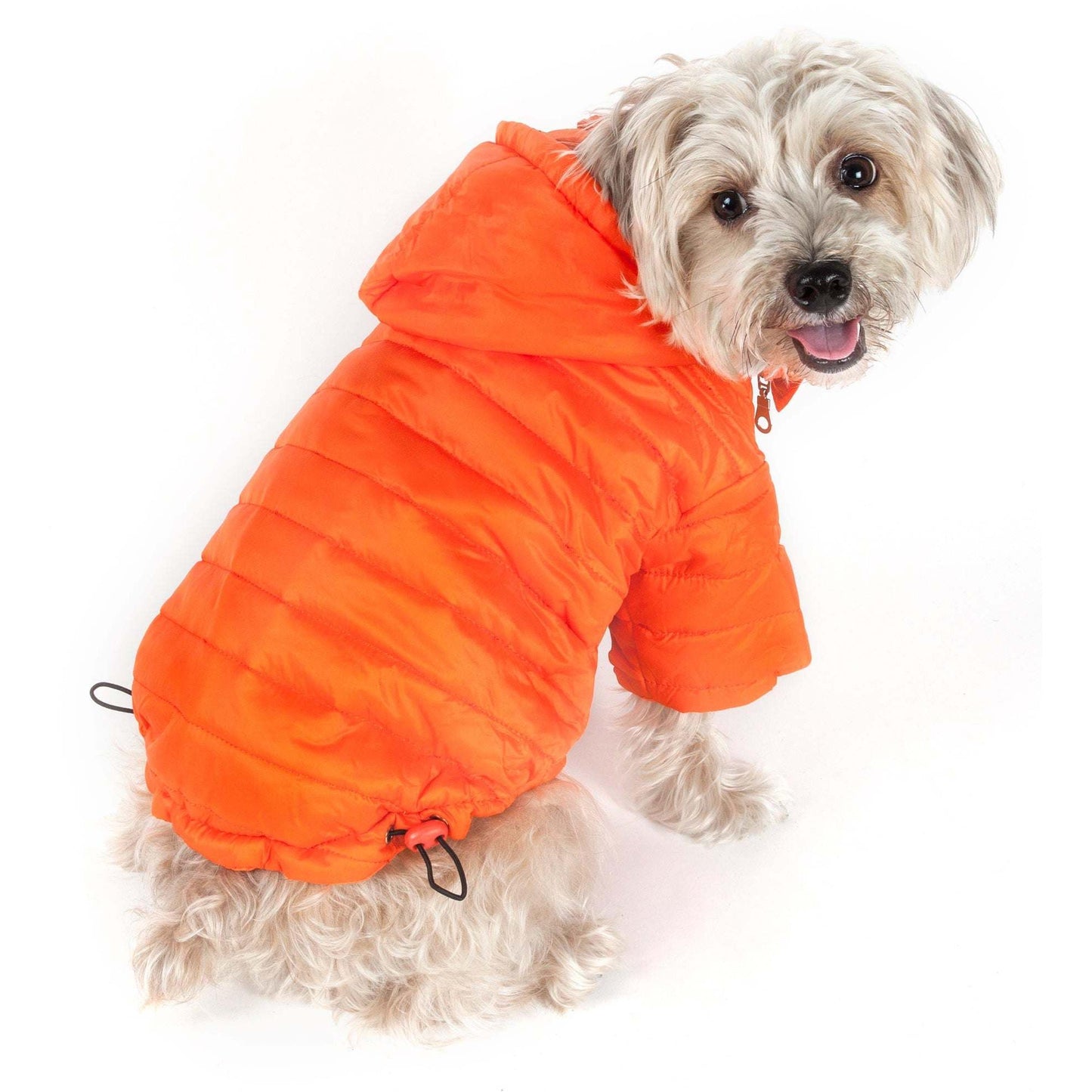 Sporty Avalanche Dog Coat Fashion