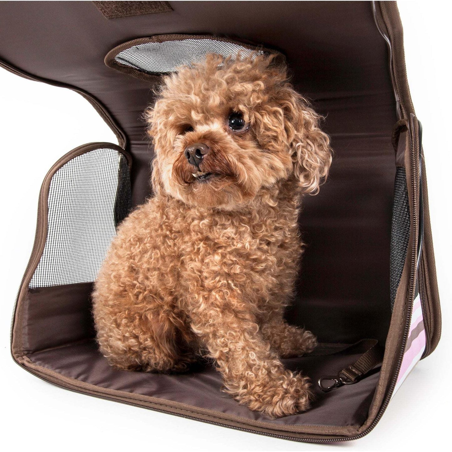 Airline approved pet carrier with shoulder strap. Explorer