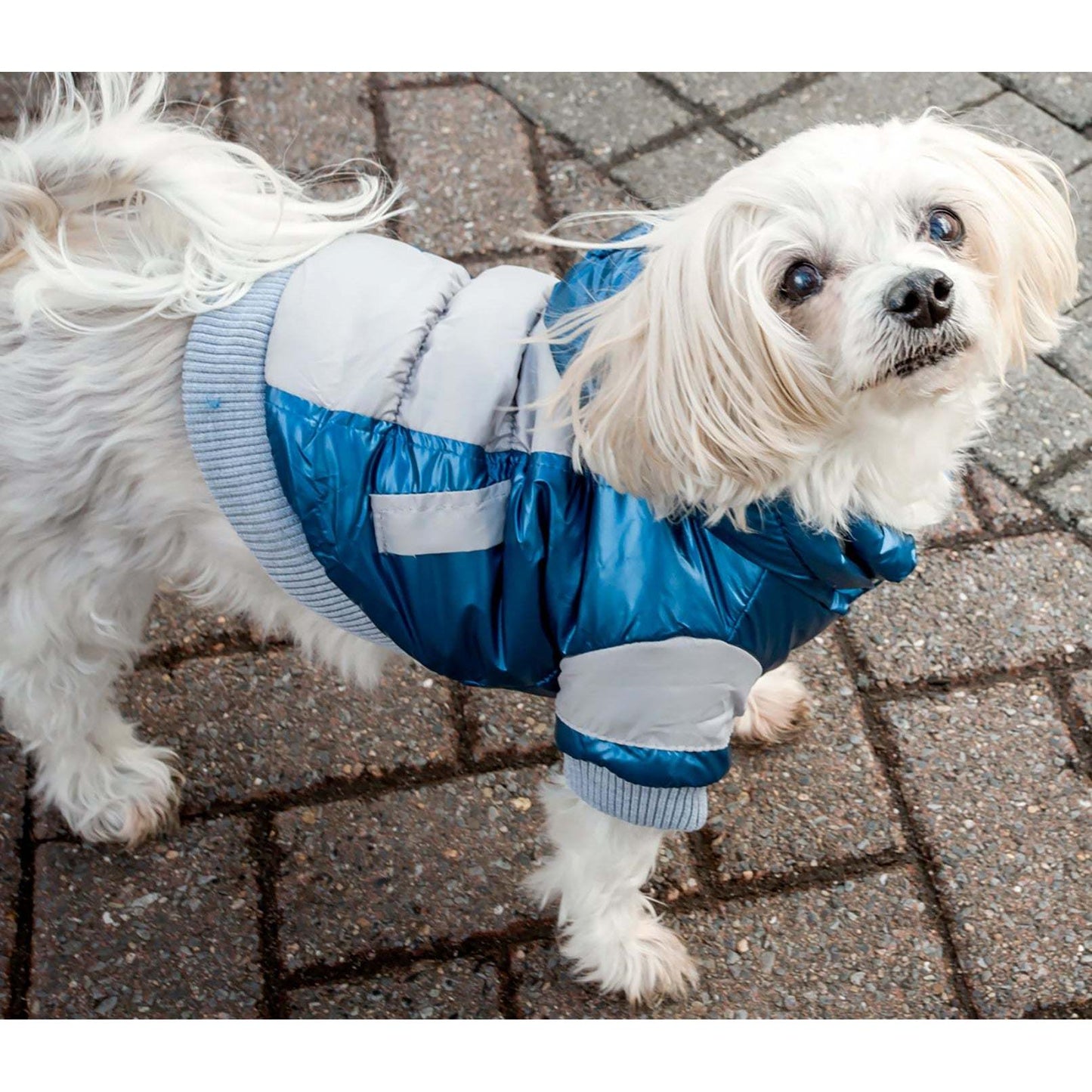 Sporty Pet Ski Jacket with Removable Hood Fashion