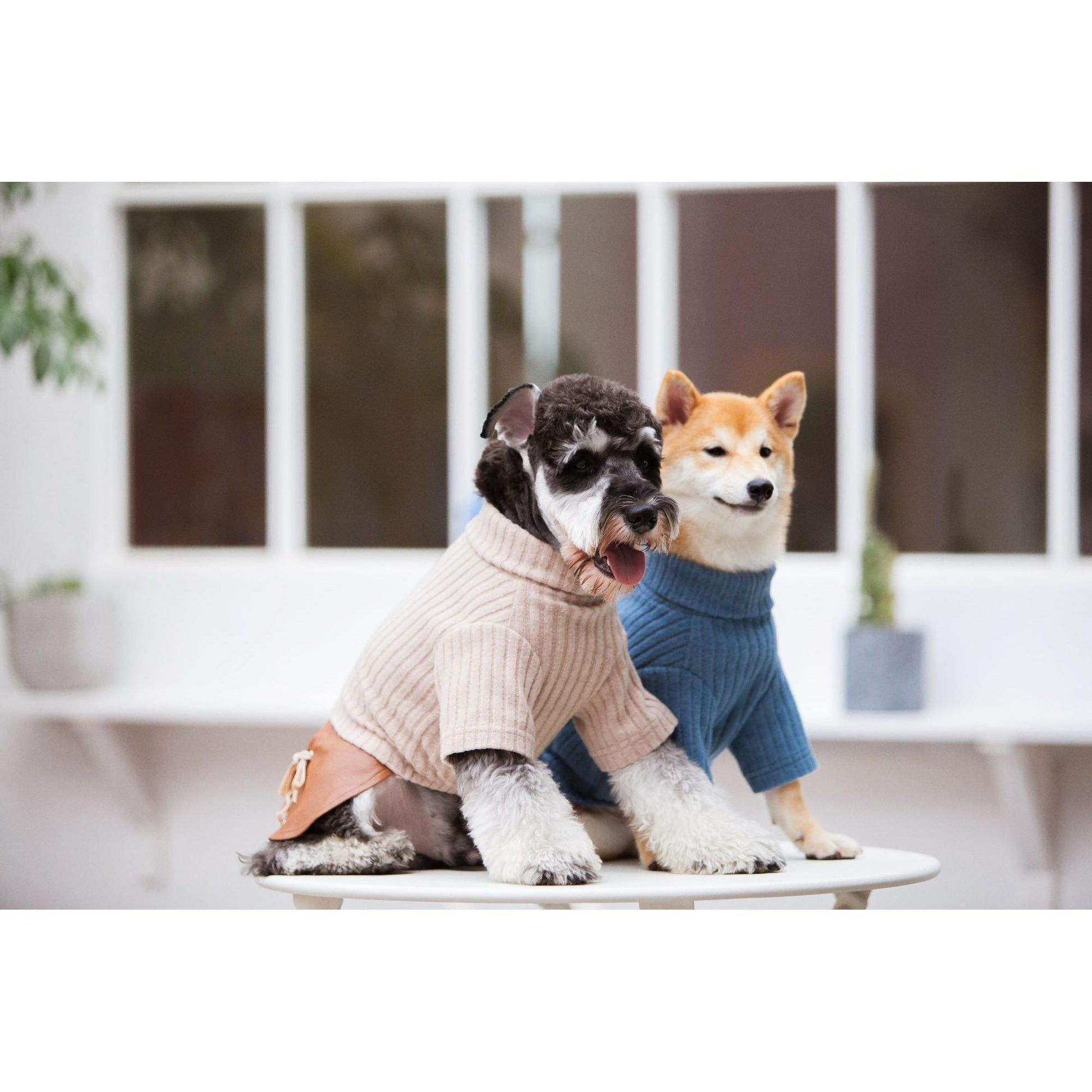 Touchdog 'Modress' is an elegant designer dog sweater and dress combo. - Wolldi