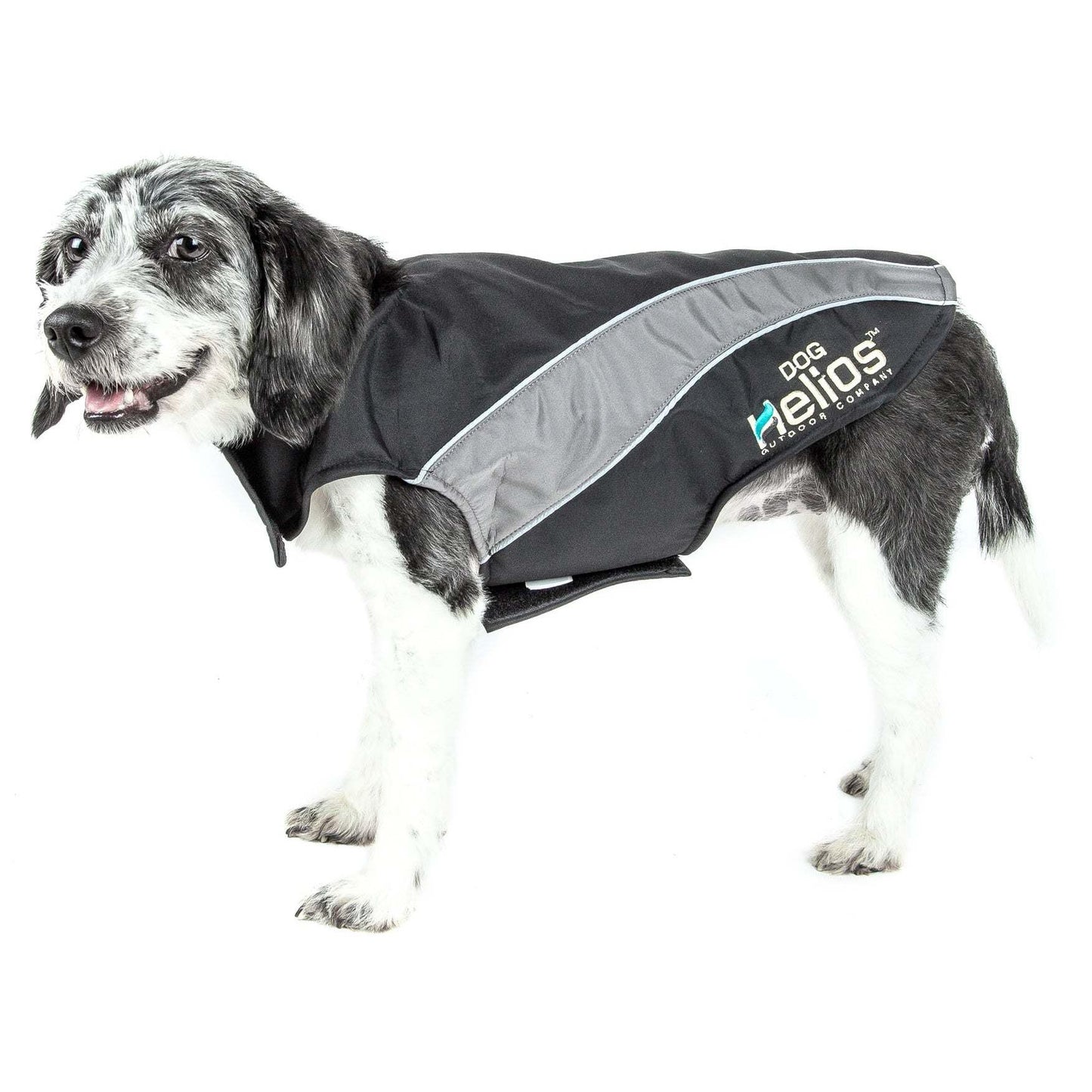 Waterproof reflective dog jacket