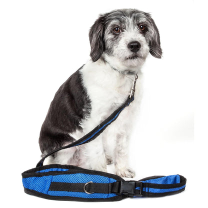 Hands free training leash and belt Academy