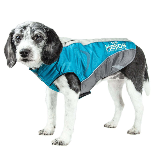 Waterproof dog coat for outdoor activities Fashion