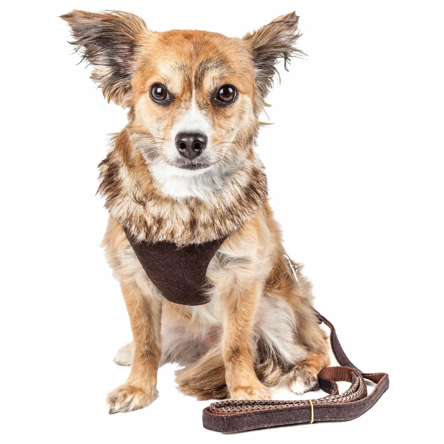 Adjustable Dog Harness with Removable Fur Collar Straps