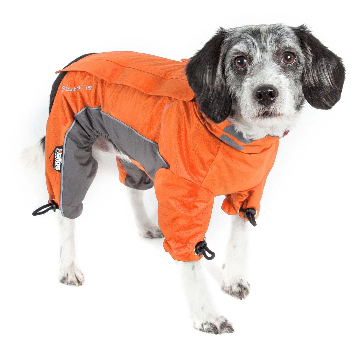 Extreme weather dog jacket Fashion