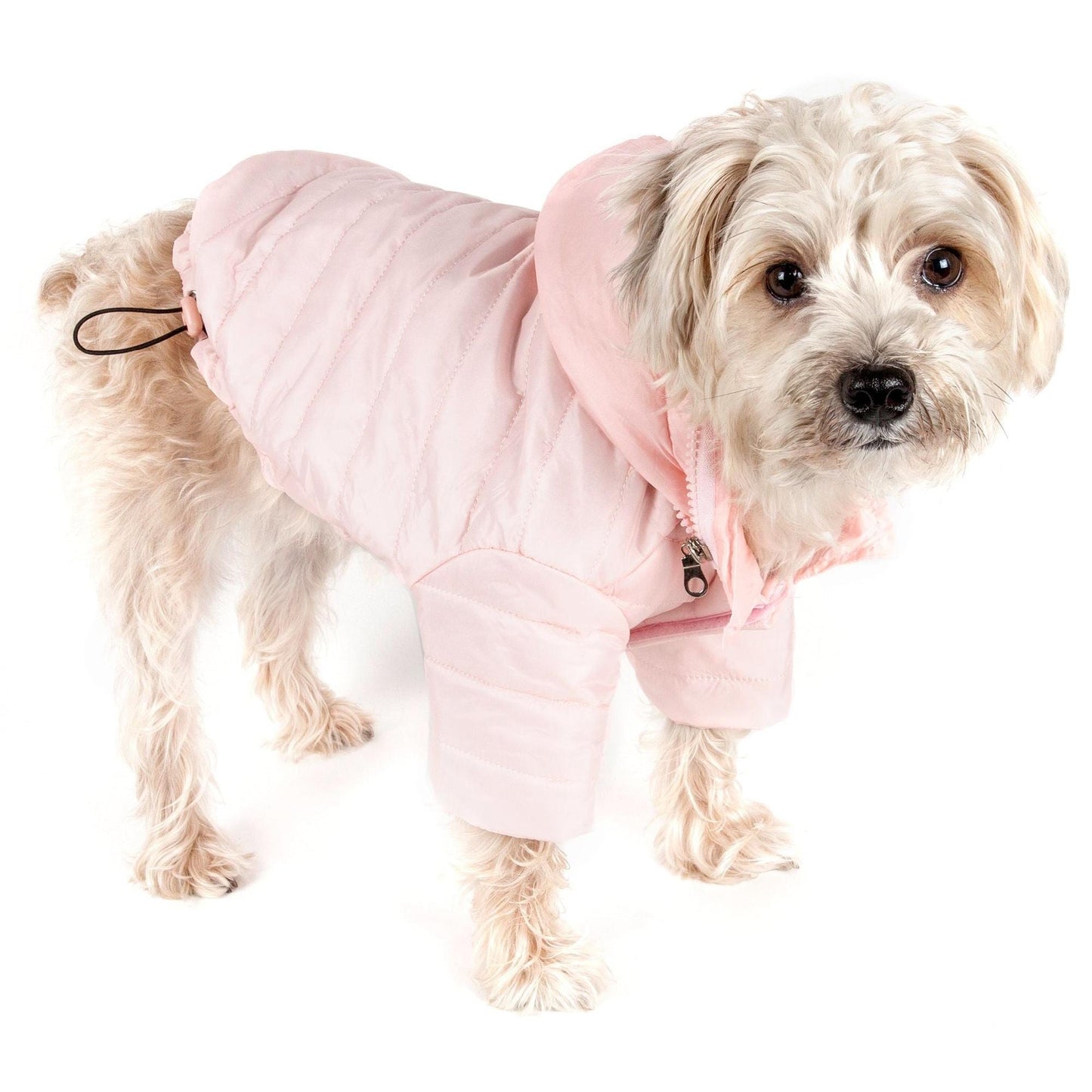 Sporty Dog Coat Fashion