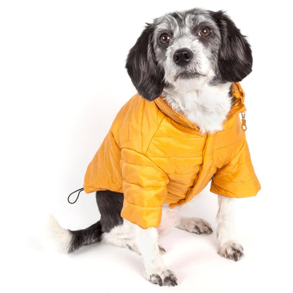 Sporty pet coat with adjustable features