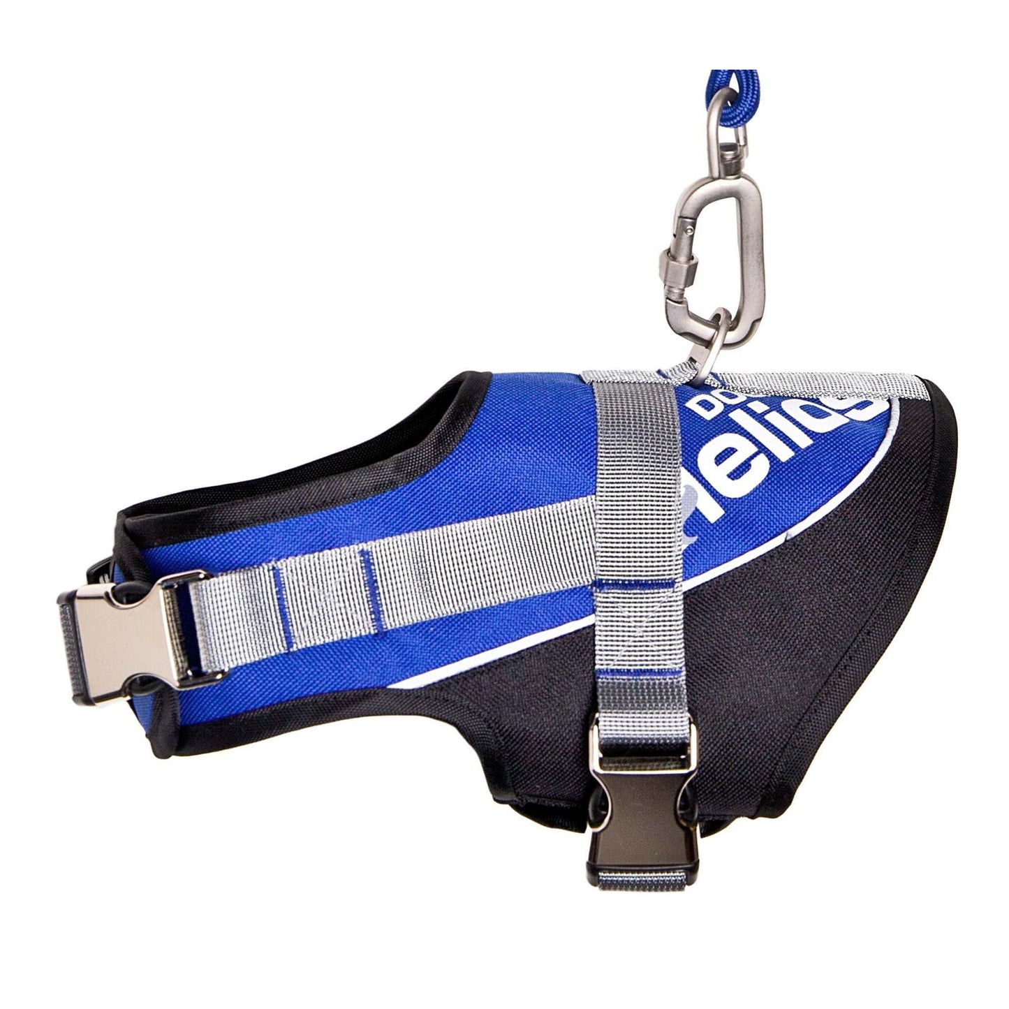 Dog Leash and Harness Straps