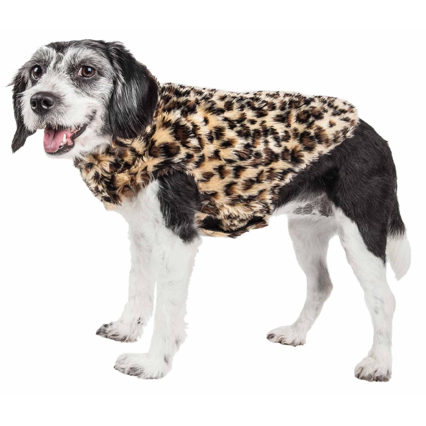 Dog Coat