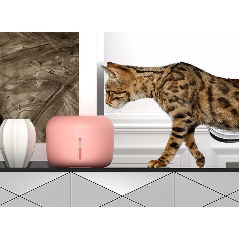 Filtered Water Fountain for Pets