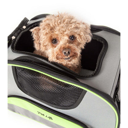 Airline Approved Pet Carrier Transport