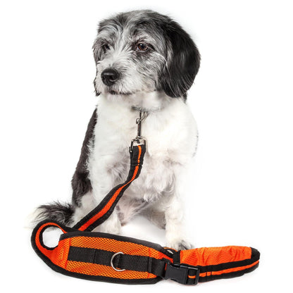 Hands free training leash and belt Academy