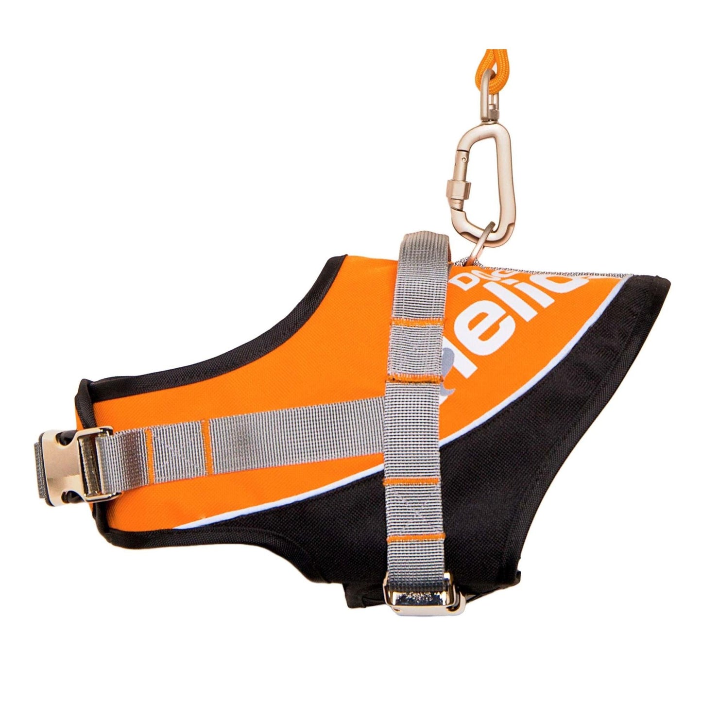 Dog Leash and Harness with Reflective Design Straps