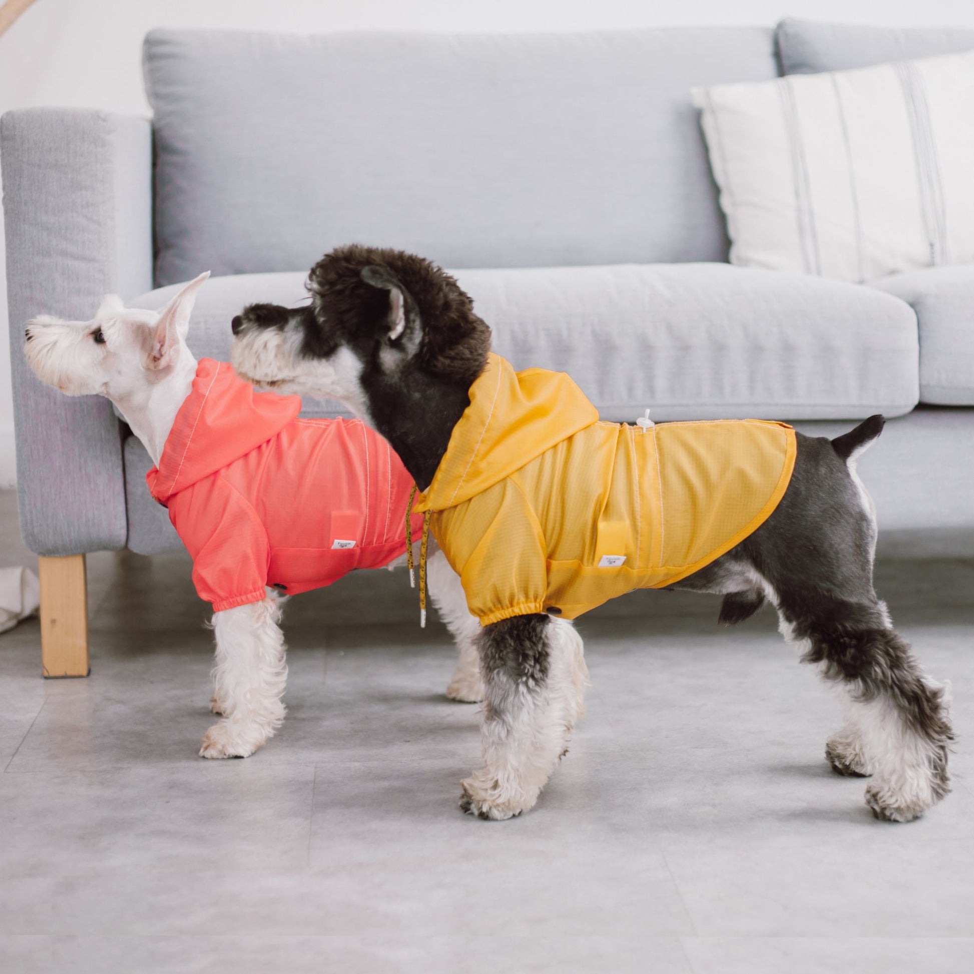 The Touchdog Split-Vent Designer Waterproof Dog Raincoat is a stylish and adjustable raincoat with reflective stitching for night visibility. - Wolldi