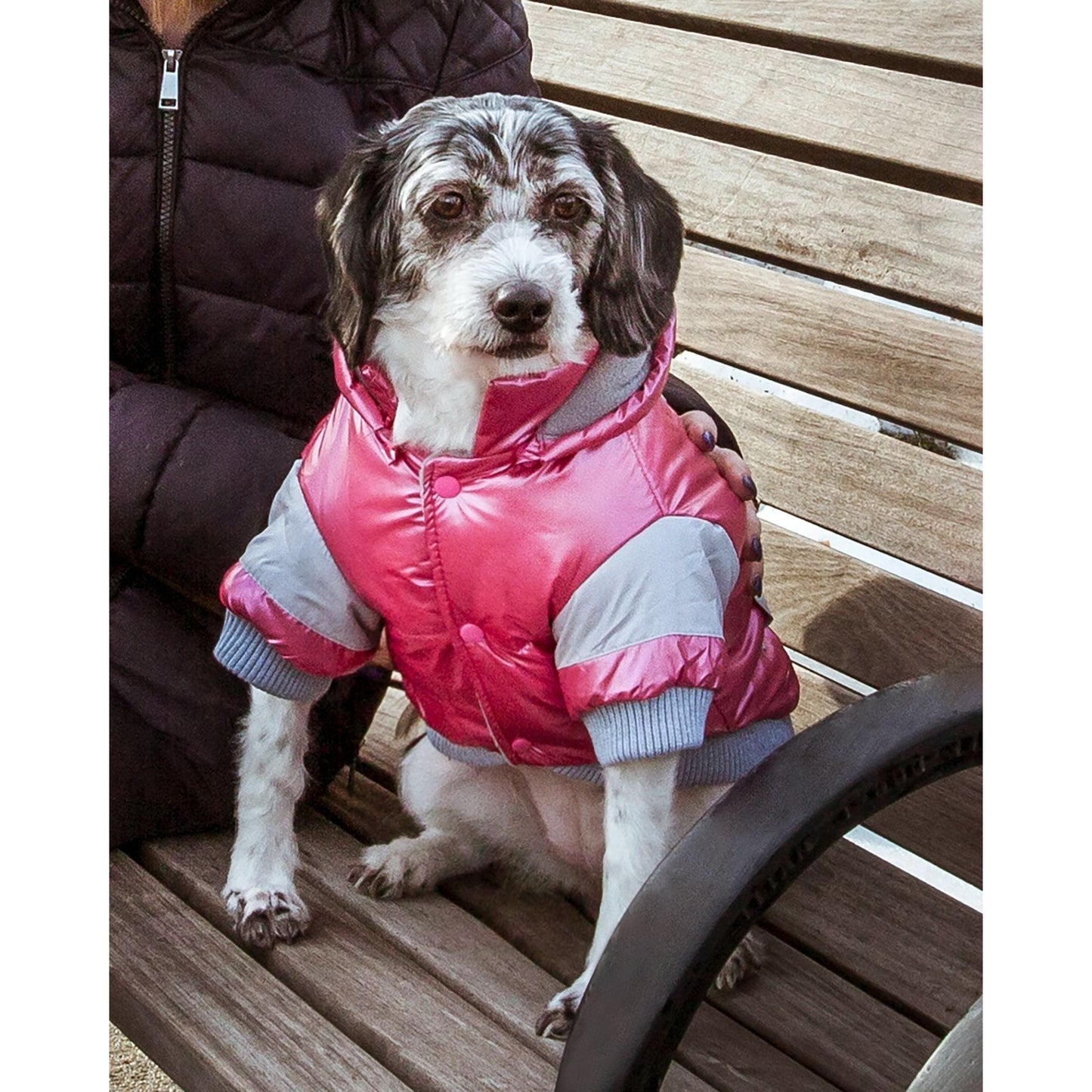 Vintage pet ski jacket Fashion