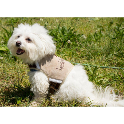 Stylish Dog Harness and Leash Set Straps