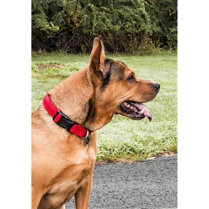 Breathable Dog Collar Straps