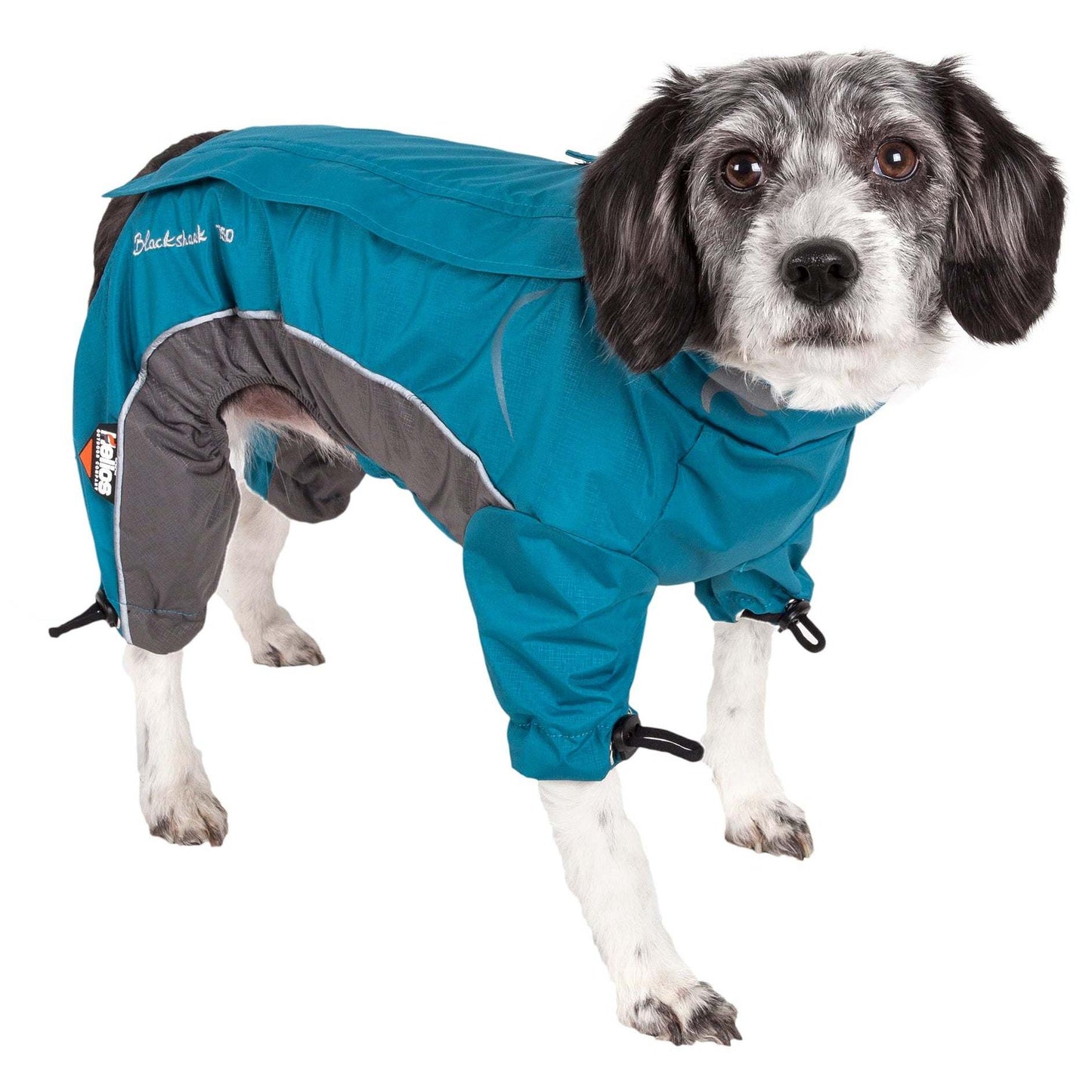 Reflective dog jacket for extreme weather