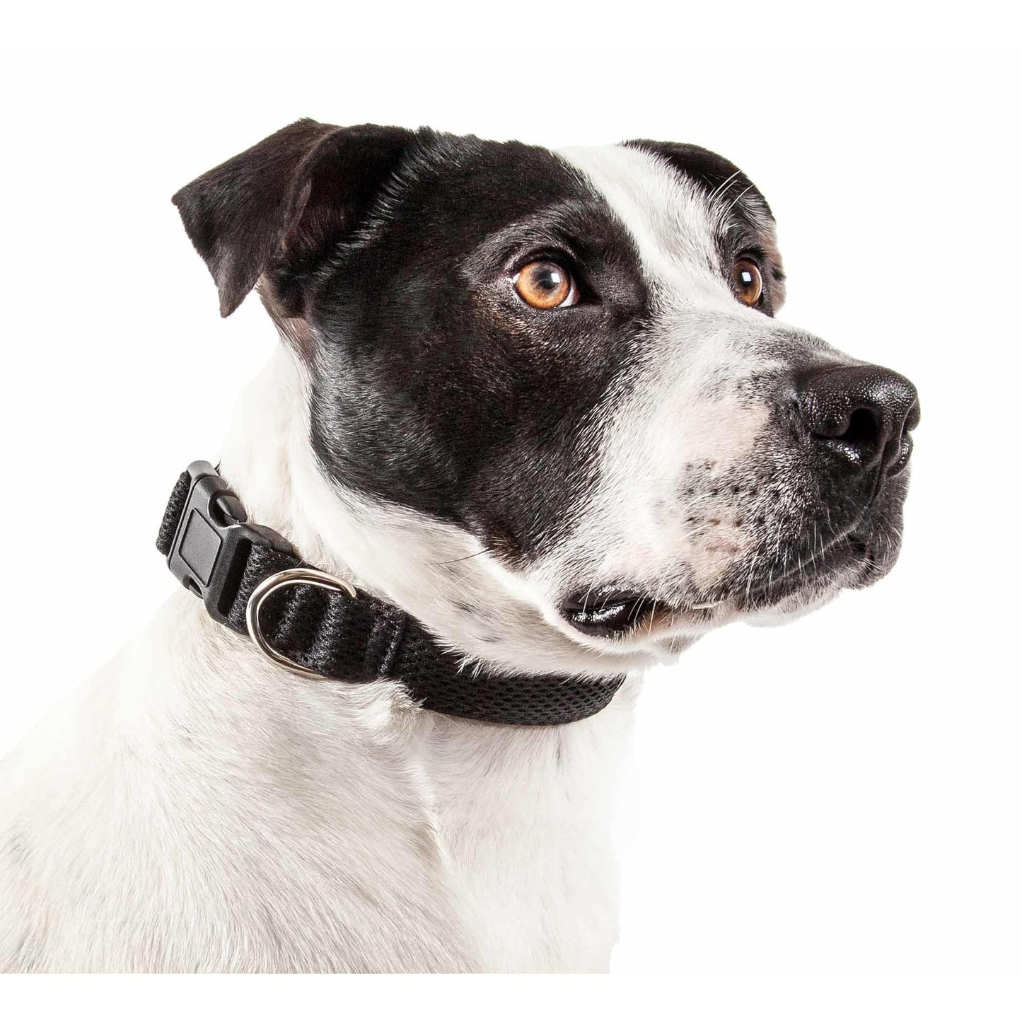 Breathable Dog Collar Straps