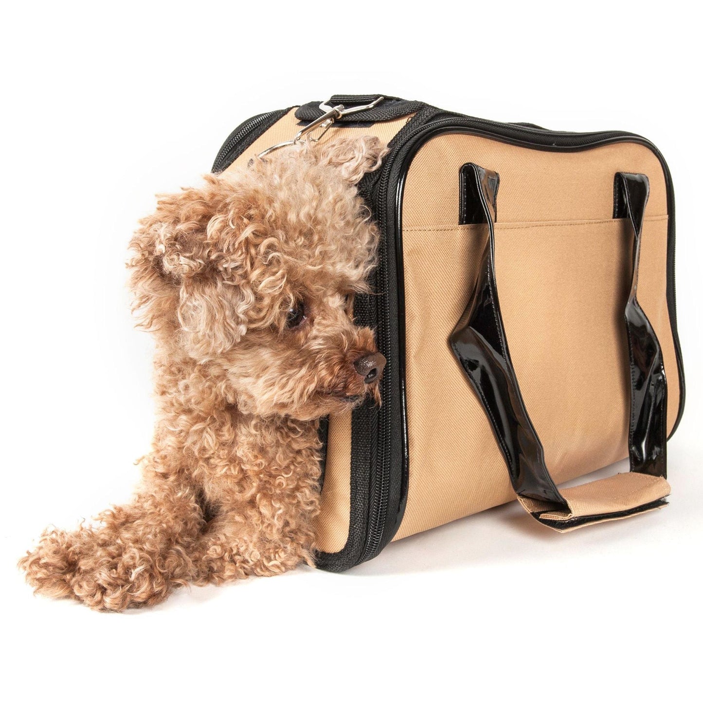 Airline-approved pet carrier Transport