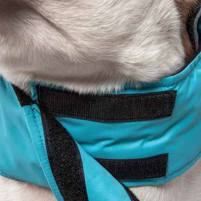 Waterproof Dog Jacket