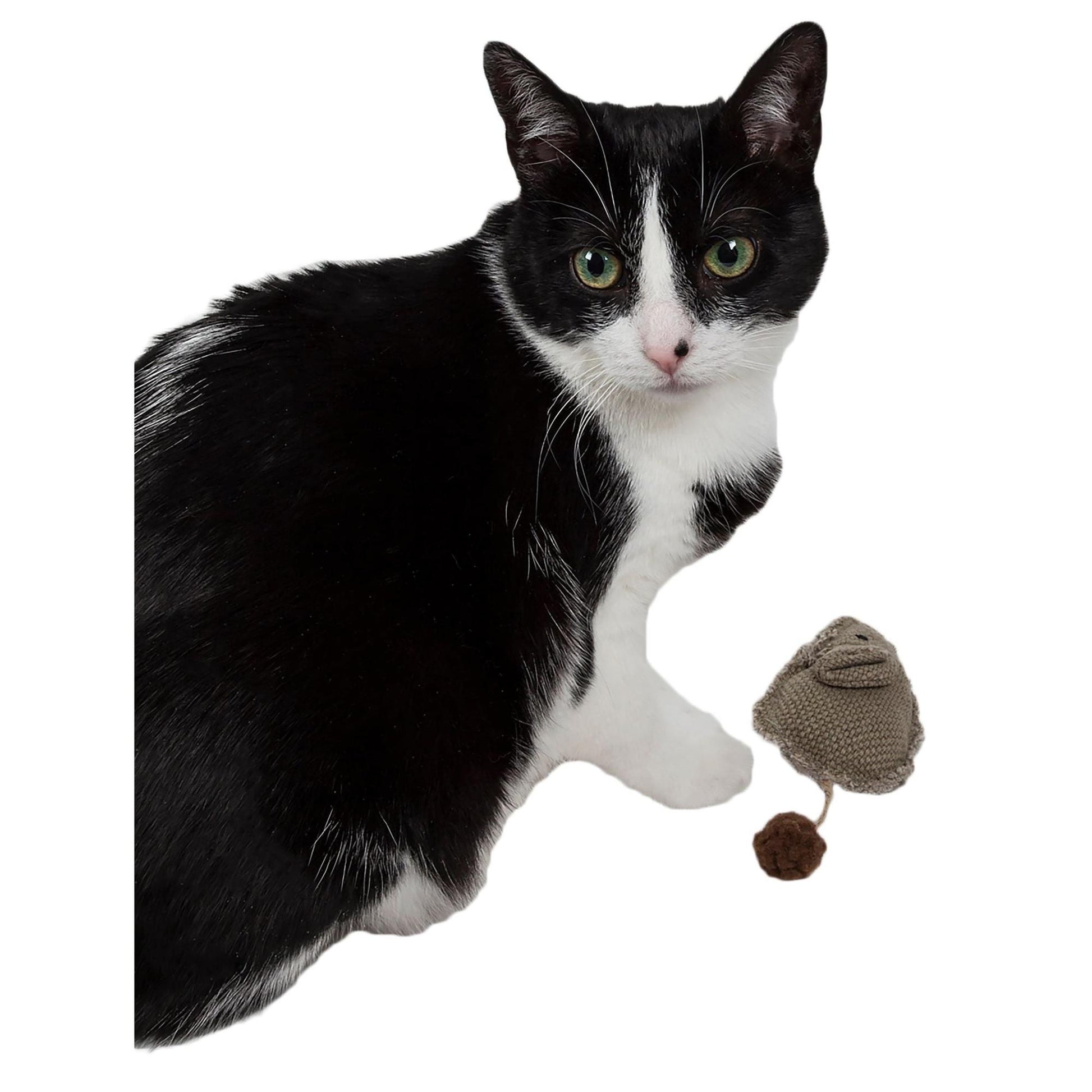 Pet Life Pompom Kitty Mouse Plush Catnip Cat Toy: Durable, eco-friendly, and fun play toy with pom-pom tail. - Wolldi
