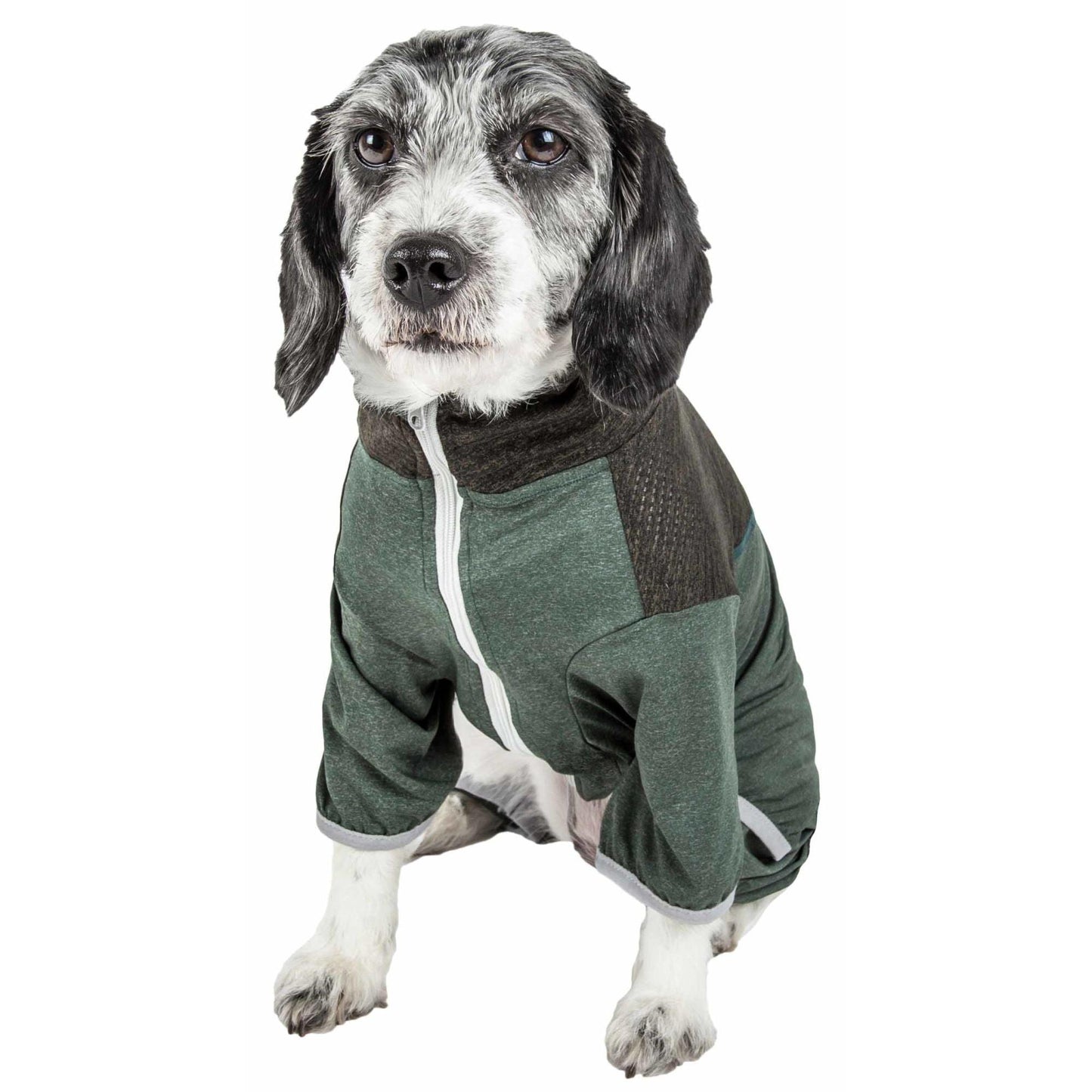 Lightweight UV protection tracksuit for dogs. Fashion