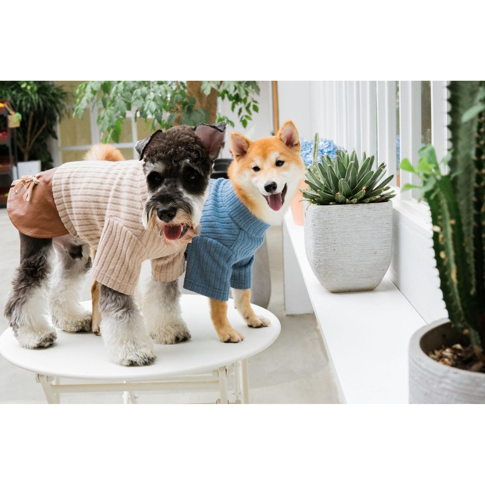 Touchdog 'Modress' is an elegant designer dog sweater and dress combo. - Wolldi