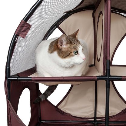 Collapsible Cat House for Multiple Cats HomeStyle